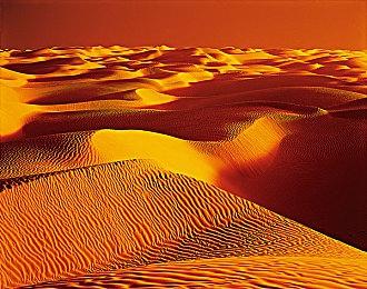 14代旗舰i14900K首次跑分：残血 还不如13900K